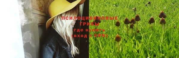 кокс Армянск