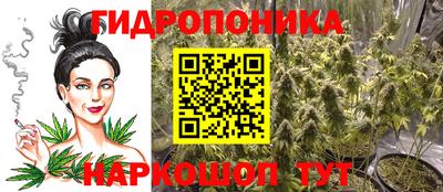 спиды Аргун