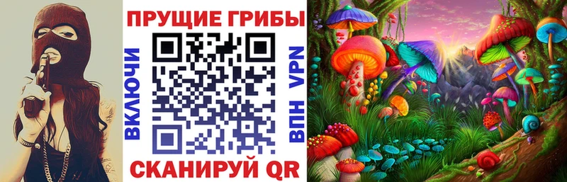 Псилоцибиновые грибы Cubensis  цена   Белогорск 
