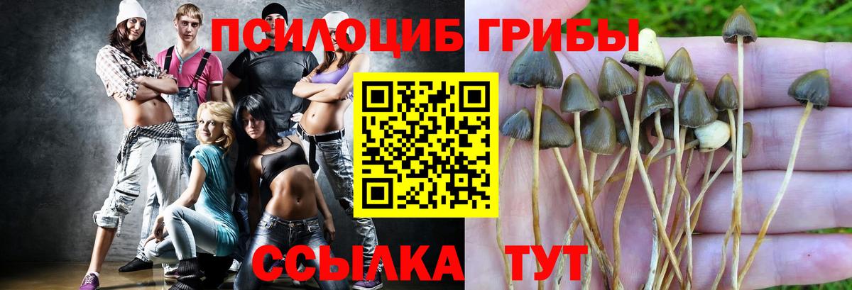 Белогорск  Галлюциногенные грибы Psilocybe  Вход с VPN 